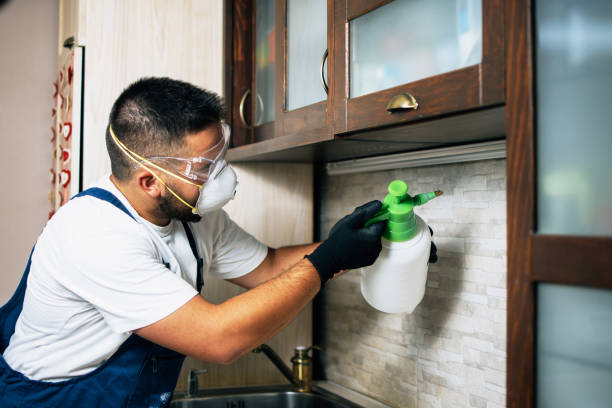 Best Cockroach Control Services  in Yamhill, OR