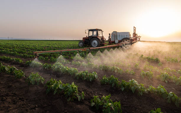 Best Commercial Pest Control Services  in Yamhill, OR