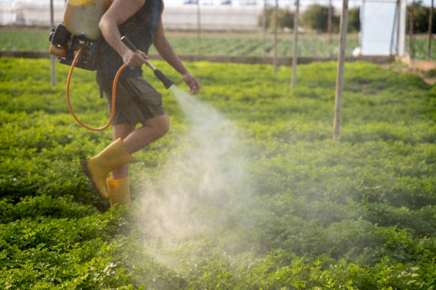 Best Best Pest Control Companies  in Yamhill, OR