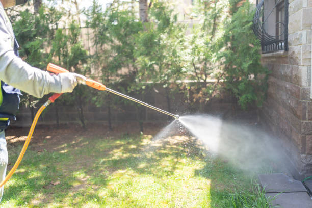 Best Pest Control Treatment  in Yamhill, OR