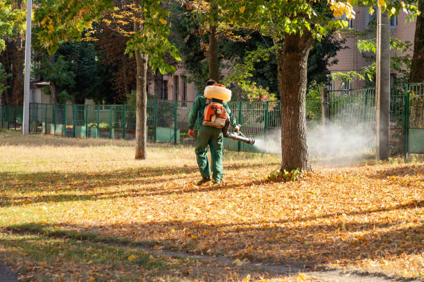 Best Pest Prevention Services  in Yamhill, OR