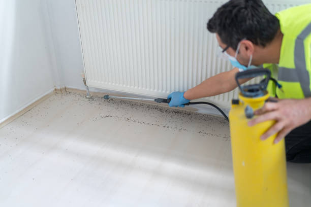 Best Pest Control Near Me in Yamhill, OR