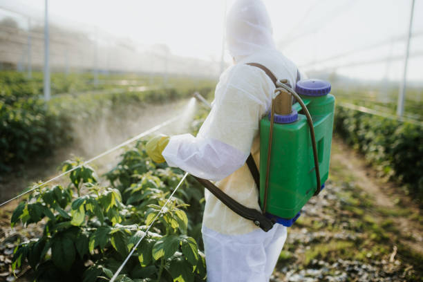 Best Pest Control Near Me  in Yamhill, OR
